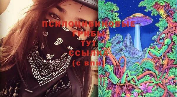 мдпв Горнозаводск