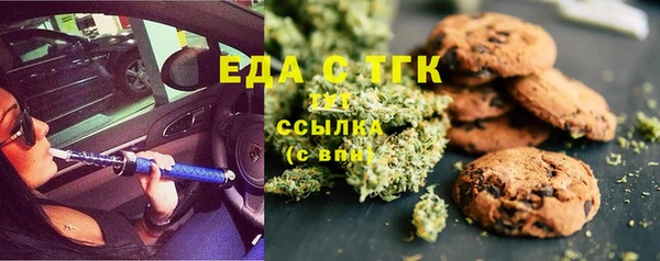мдпв Горнозаводск