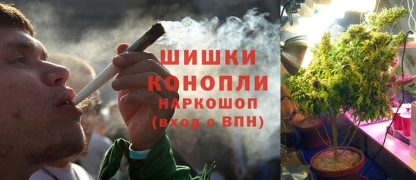 мдпв Горнозаводск