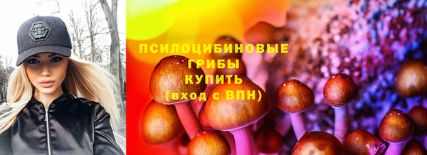 мдпв Горнозаводск