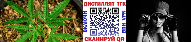 Дистиллят ТГК THC oil  Купить закладки  Онега 